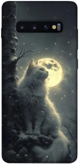 Чохол на Samsung Galaxy S10+ Кіт під місяцем фото 1 з 1