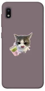 Чохол на Samsung Galaxy A10 (A105F) cat matcha фото 1 з 1