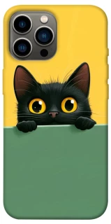 Чохол на Apple iPhone 12 Pro Max (6.7") Black cat v2 фото 1 з 1