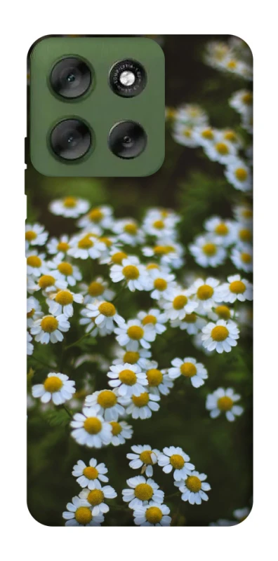 Чохол на Motorola Moto G56 5G Ромашки v13 фото 1 з 1