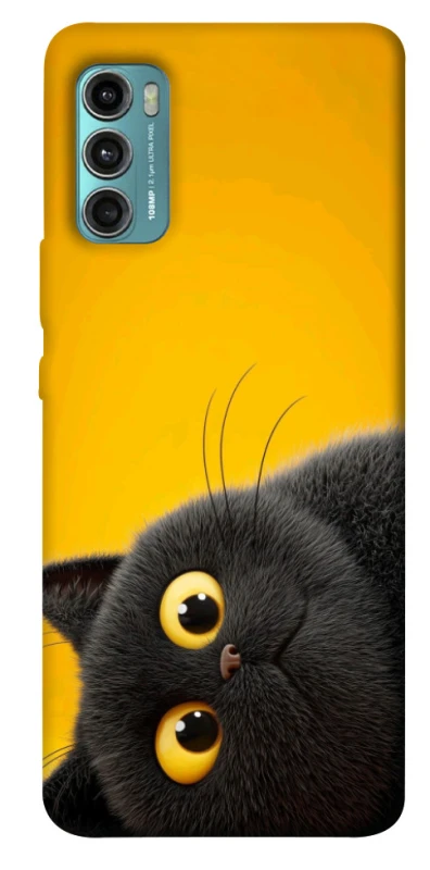 Чохол на Motorola Moto G60 This is Cat фото 1 з 1