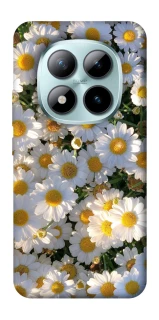 Чохол на Xiaomi Redmi Note 15 Pro+ 5G Поле ромашок фото 1 Чохол на Xiaomi Redmi Note 15 Pro+ 5G Поле ромашок фото 1 з 1