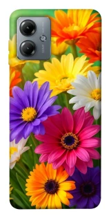 Чохол на Motorola Moto G14 Flowers v32 фото 1 з 1