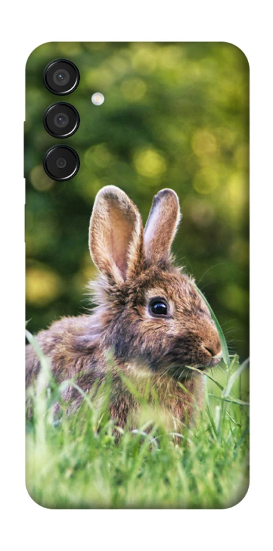 Чехол на Samsung Galaxy M15 5G Кролики фото 1 из 1