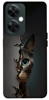 Чехол на OnePlus Nord CE 3 Lite Кот-подглядыватель v2 фото 1 из 1