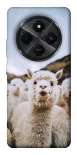 Чехол на Xiaomi Redmi A3 Pro Лама фото 1 из 1
