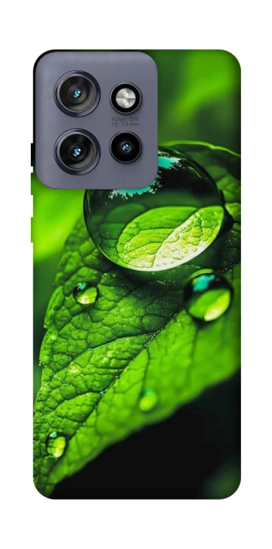 Чехол на Motorola Edge 50 Neo Flowers v16 фото 1 из 1