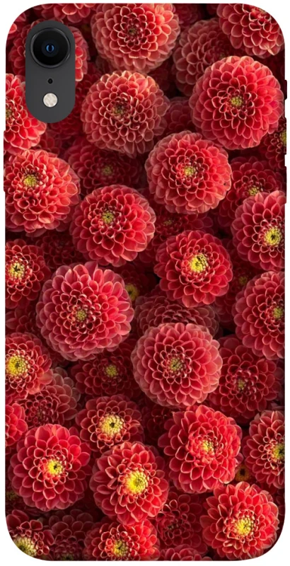 Чехол на Apple iPhone XR (6.1") Midnight1 фото 1 из 1