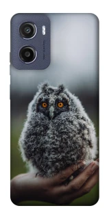 Чехол на Motorola Moto E15 Совёнок фото 1 из 1