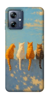 Чехол на Motorola Moto G54 Power cats on wall фото 1 Чехол на Motorola Moto G54 Power cats on wall фото 1 из 1
