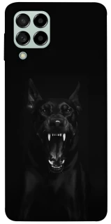 Чохол на Samsung Galaxy M53 5G Доберман фото 1 з 1