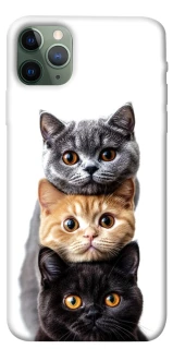 Чохол на Apple iPhone 11 Pro Max (6.5") Гарні котики фото 1 з 1