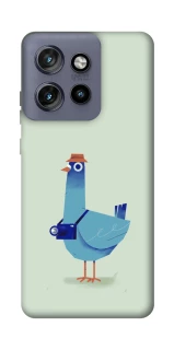 Чохол на Motorola Edge 50 Neo Голуб-детектив фото 1 з 1