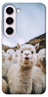 Чехол на Samsung Galaxy S23+ Лама фото 1 из 1
