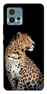 Чохол на Motorola Moto G72 Leopard v2 фото 1 з 1