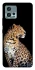 Чохол на Motorola Moto G72 Leopard v2 фото 1 з 1