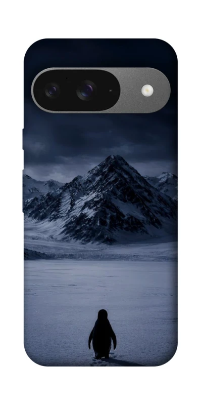 Чехол на Google Pixel 10 But why? фото 1 из 1