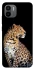 Чохол на Xiaomi Redmi A1 / A2 Leopard v2 фото 1 з 1