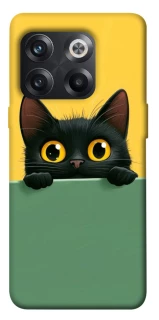 Чехол на OnePlus 10T Black cat v2 фото 1 из 1