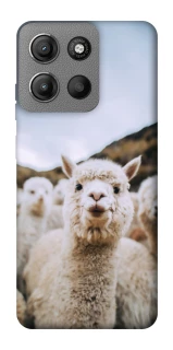 Чохол на Motorola Moto G15 Power Лама фото 1 з 1