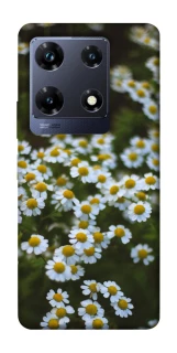 Чехол на Infinix Note 30 Pro Ромашки v13 фото 1 из 1
