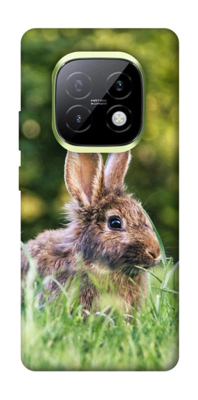 Чехол на Realme Narzo 70 Turbo Кролики фото 1 из 1