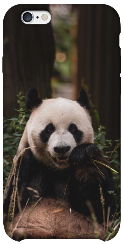 Чохол на Apple iPhone 6/6s (4.7") Панда фото 1 з 1