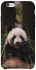 Чохол на Apple iPhone 6/6s (4.7") Панда фото 1 з 1