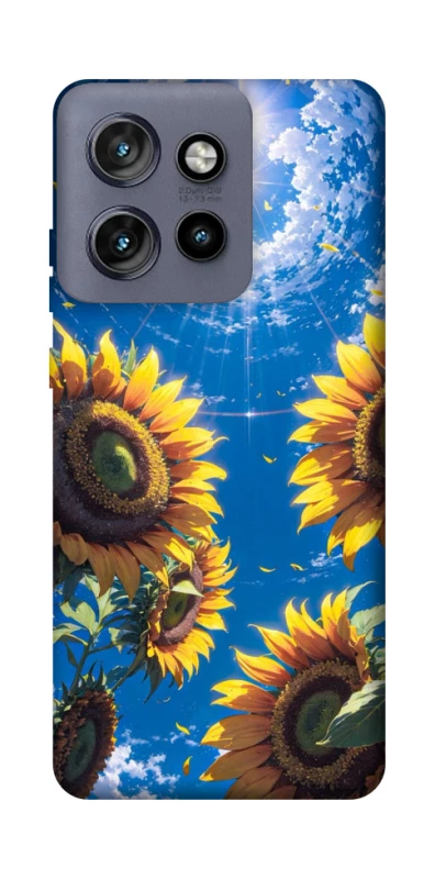 Чохол на Motorola Edge 50 Neo Sunflowers фото 1 з 1