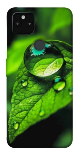 Чохол на Google Pixel 5A Flowers v16 фото 1 з 1