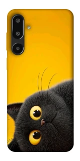 Чохол на Samsung Galaxy F16 This is Cat фото 1 з 1