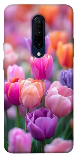 Чохол на OnePlus 7 Pro Тюльпанове поле фото 1 з 1