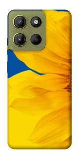 Чохол на Motorola Moto G15 4G Sunflower фото 1 з 1