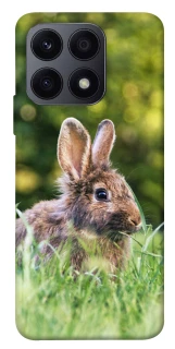 Чехол на Huawei Honor X8a Кролики фото 1 из 1