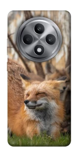 Чехол на Oppo Reno 12 F 4G Лиса фото 1 из 1