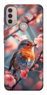Чохол на Motorola Moto E40 Birdie фото 1 з 1
