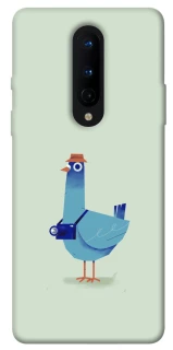 Чохол на OnePlus 8 Голуб-детектив фото 1 з 1