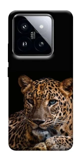 Чохол на Xiaomi 14 Pro Leopard v4 фото 1 з 1