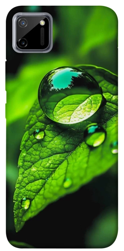 Чехол на Realme C11 Flowers v16 фото 1 из 1