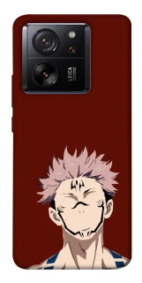 Чохол на Xiaomi 13T Sakuna v3 фото 1 з 1