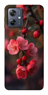 Чохол на Motorola Moto G54 Flowers v28 фото 1 Чохол на Motorola Moto G54 Flowers v28 фото 1 з 1