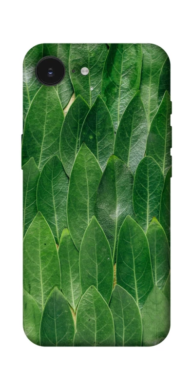 Чехол на Apple iPhone 16e (6.1") Листья фото 1 из 1