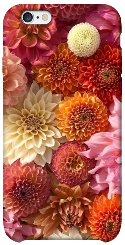 Чохол на Apple iPhone 6/6s (4.7") Bouquet фото 1 з 1