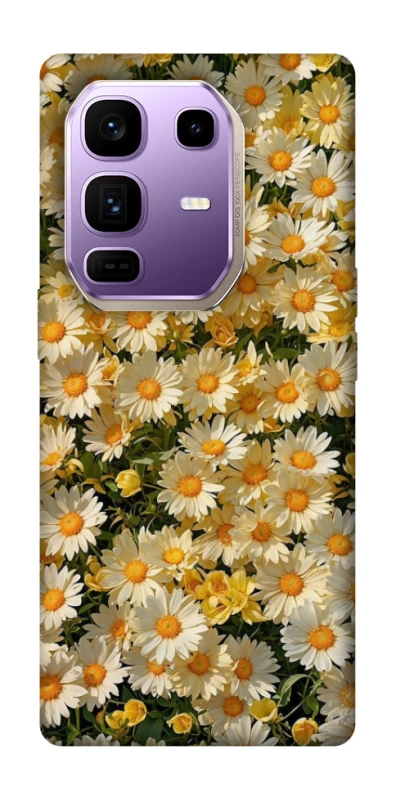 Чохол на Infinix Note 50 Pro+ Camomile фото 1 з 1