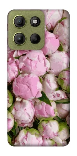 Чохол на Motorola Moto G15 4G Nature’s Elegance фото 1 з 1