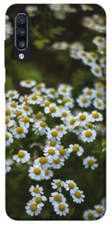 Чехол на Samsung Galaxy A70 (A705F) Ромашки v13 фото 1 из 1