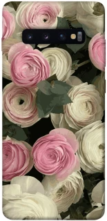 Чехол на Samsung Galaxy S10+ Gardens фото 1 из 1