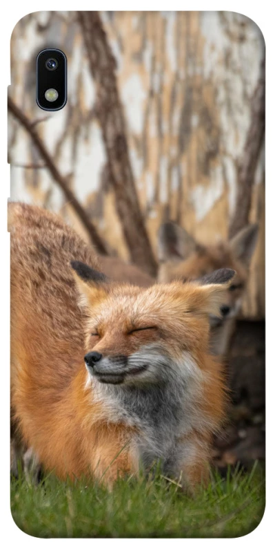 Чохол на Samsung Galaxy A10 (A105F) Лисиця фото 1 з 1