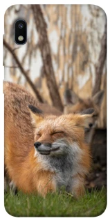 Чохол на Samsung Galaxy A10 (A105F) Лисиця фото 1 з 1