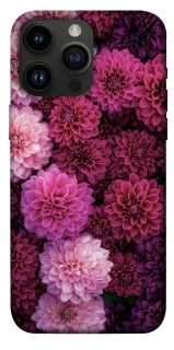 Чохол на Apple iPhone 14 Pro Max (6.7") Garden1 фото 1 з 1